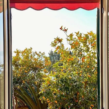 Il Giardino Su Tropea - A Garden Overlooking Tropea