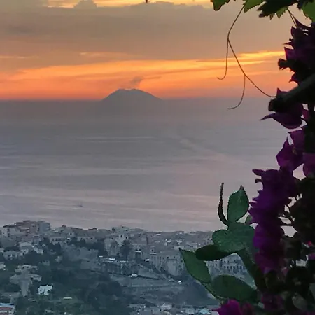 Appartamento Il Giardino Su Tropea - A Garden Overlooking Tropea *